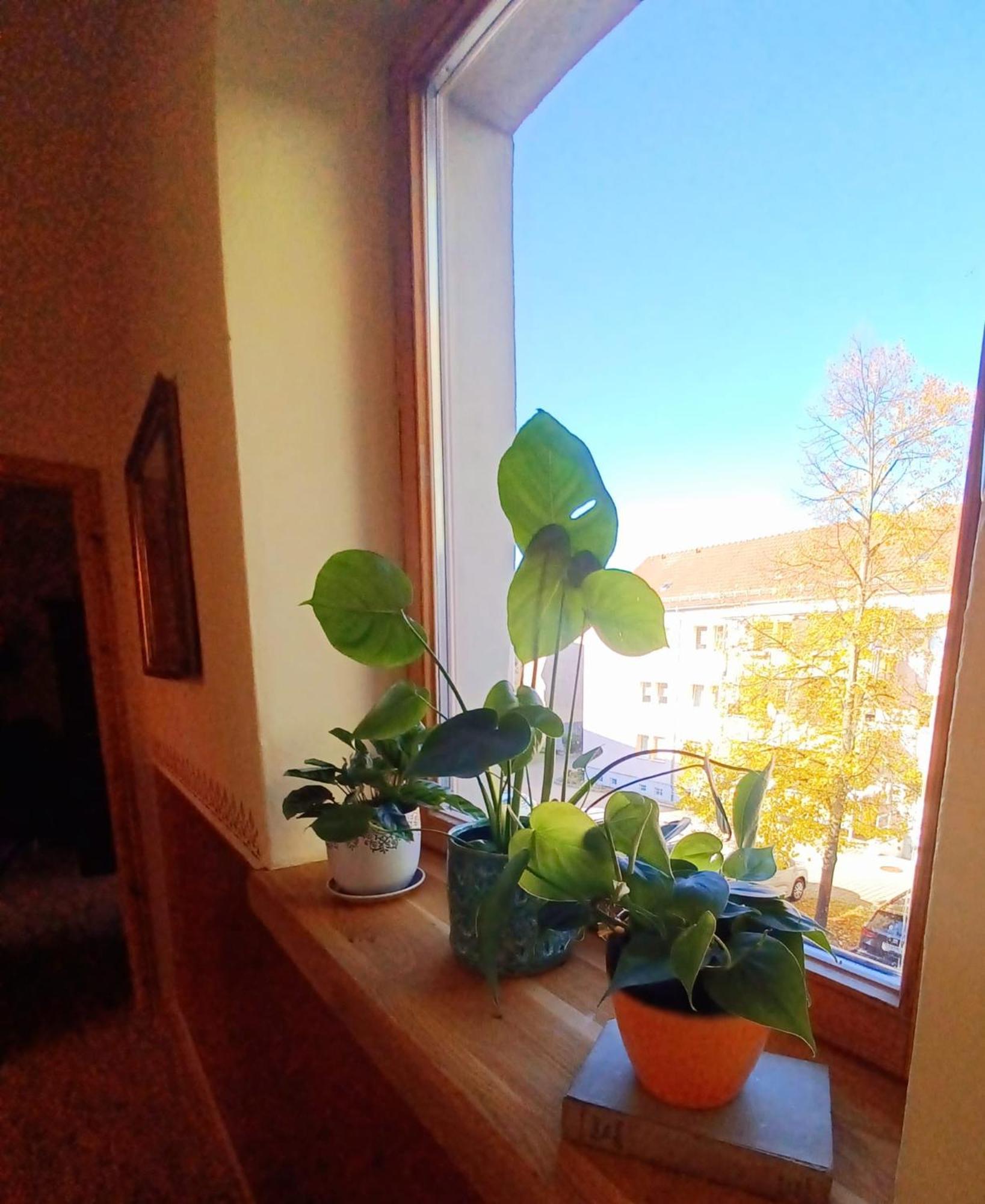 Ferienwohnung Antik Gotha Bagian luar foto